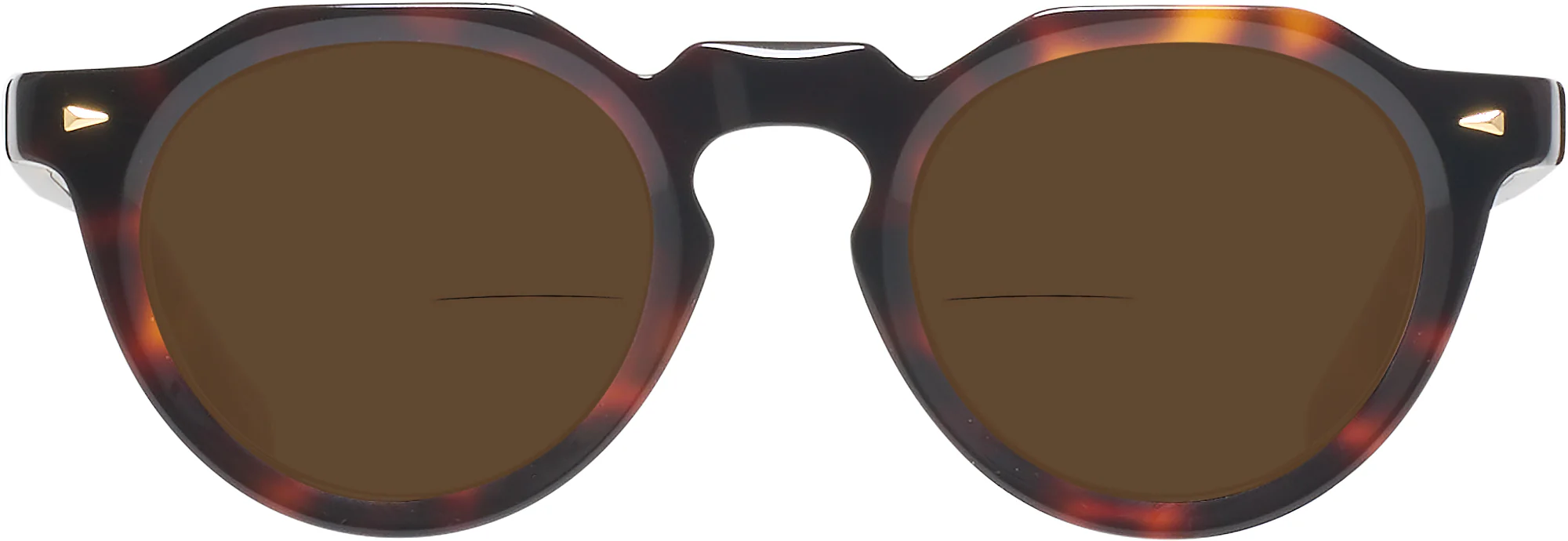 Truman Bifocal Reading Sunglasses - Image 38