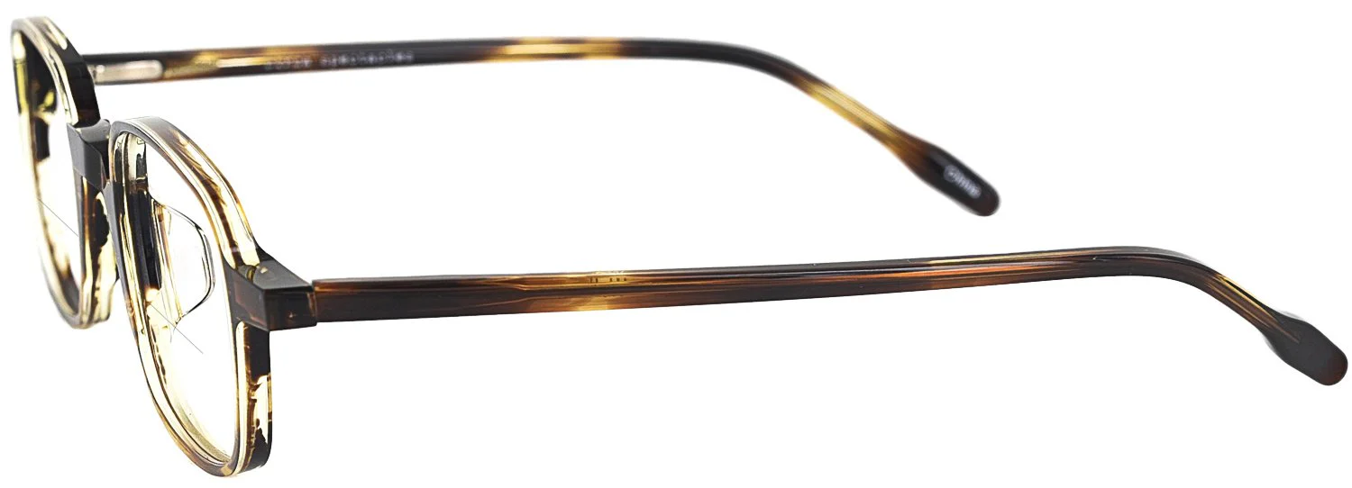 Walter Bifocal - Image 7