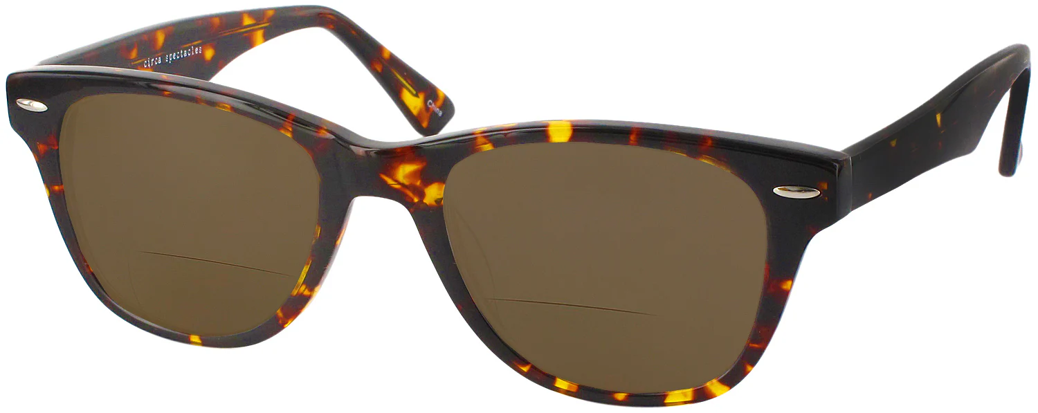 Winston Bifocal Reading Sunglasses