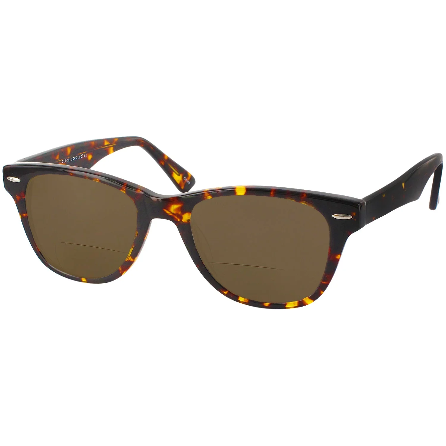 Winston Bifocal Reading Sunglasses - Image 9