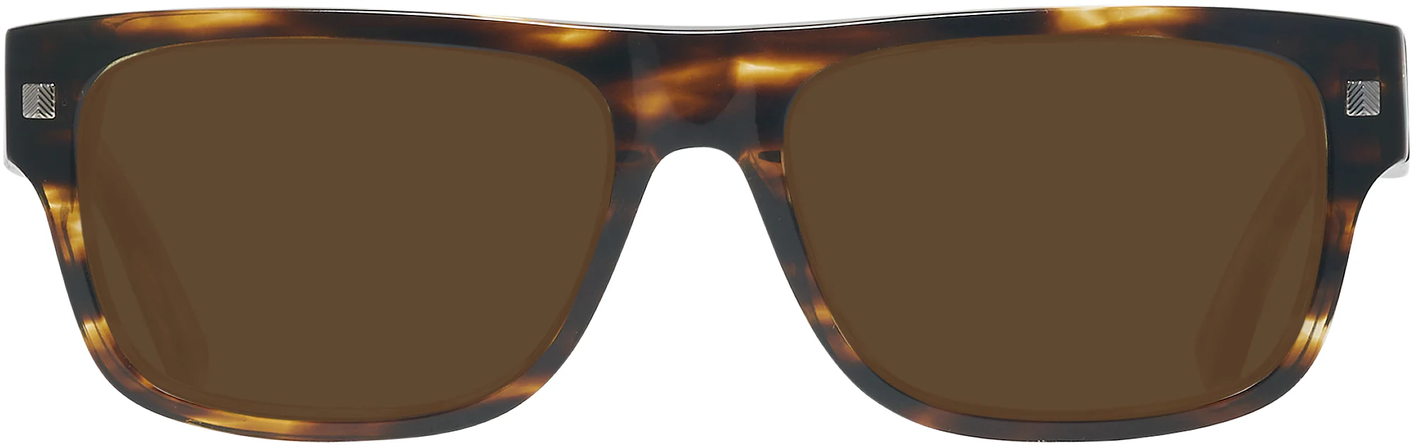 Zegna EZ0088 Progressive Reading Sunglasses - Image 12
