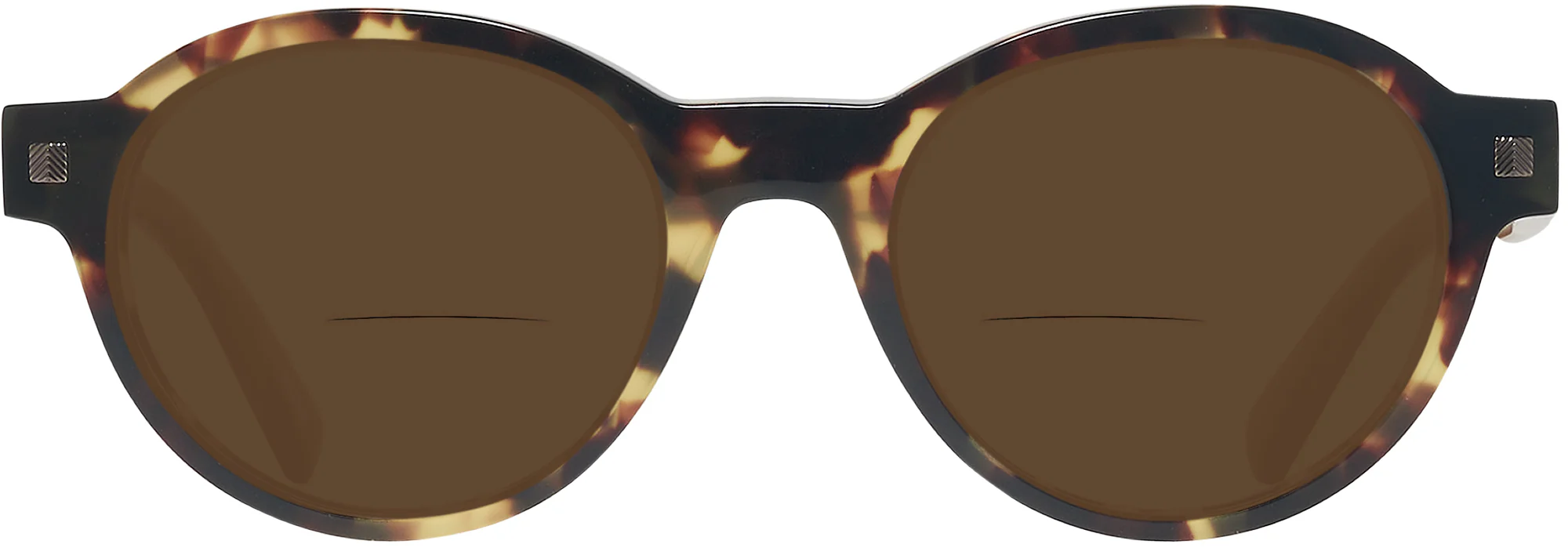 Zegna EZ0100 Bifocal Reading Sunglasses - Image 12