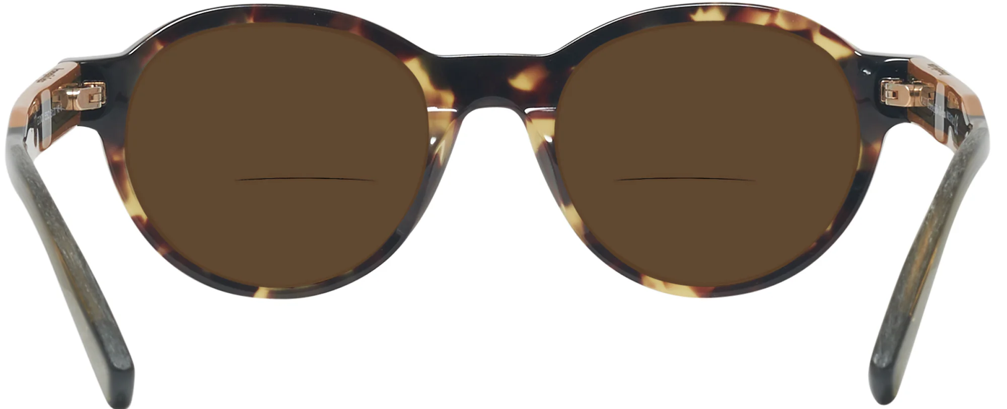 Zegna EZ0100 Bifocal Reading Sunglasses - Image 14
