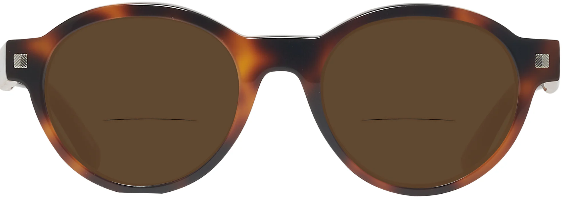 Zegna EZ0100 Bifocal Reading Sunglasses - Image 16