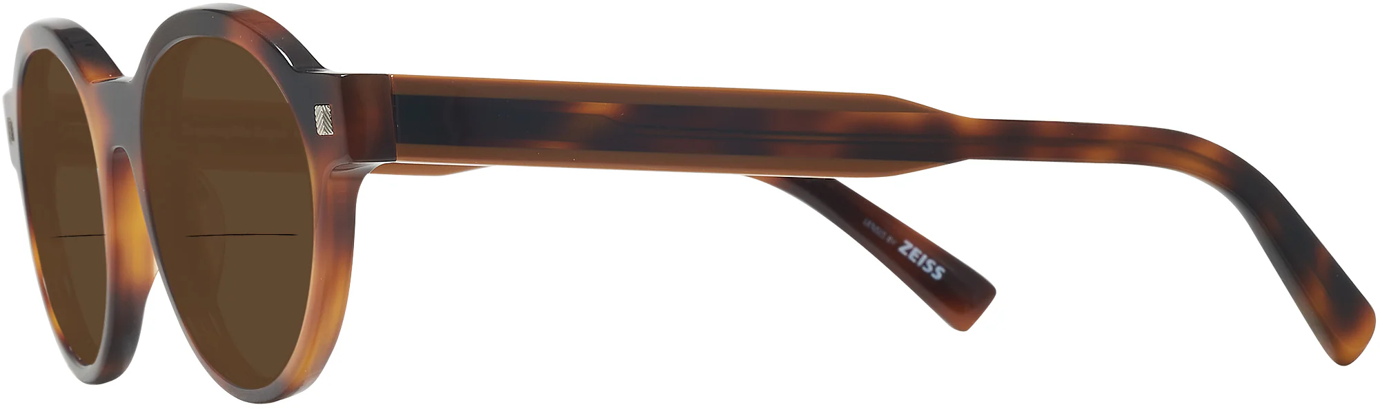 Zegna EZ0100 Bifocal Reading Sunglasses - Image 17
