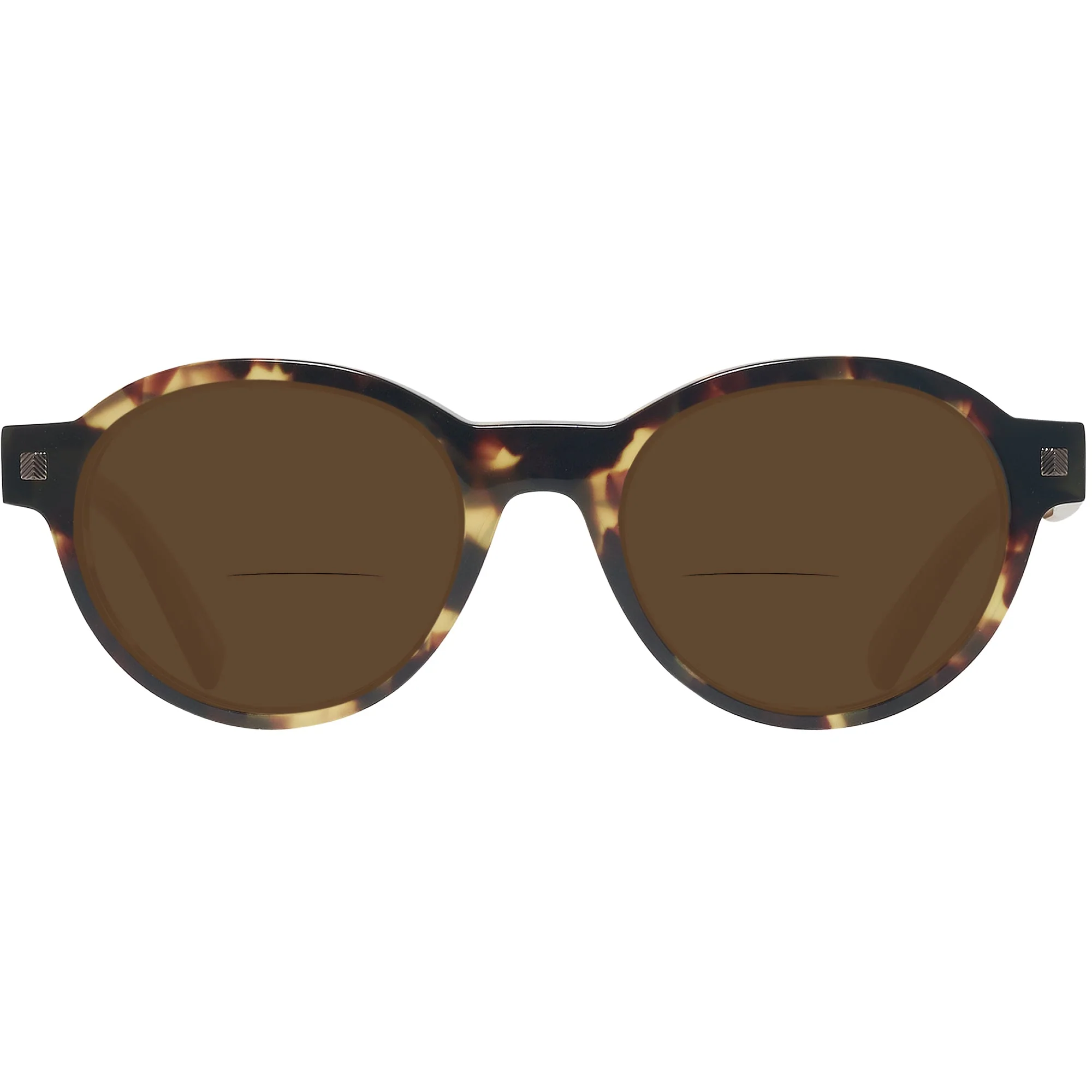 Zegna EZ0100 Bifocal Reading Sunglasses - Image 2