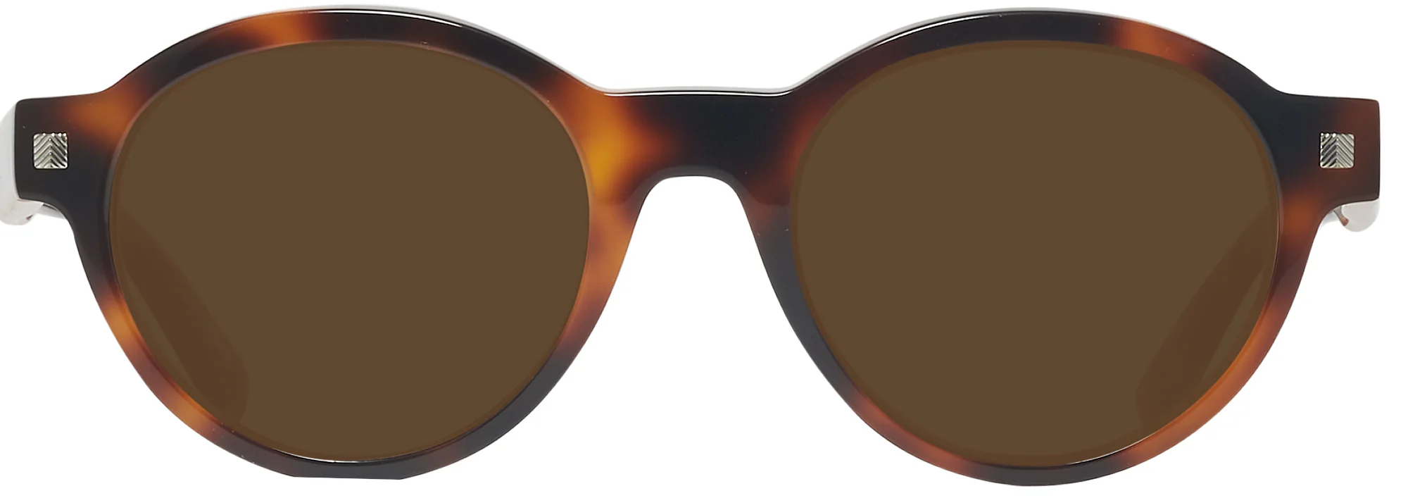 Zegna EZ0100 Progressive No Line Reading Sunglasses - Image 16