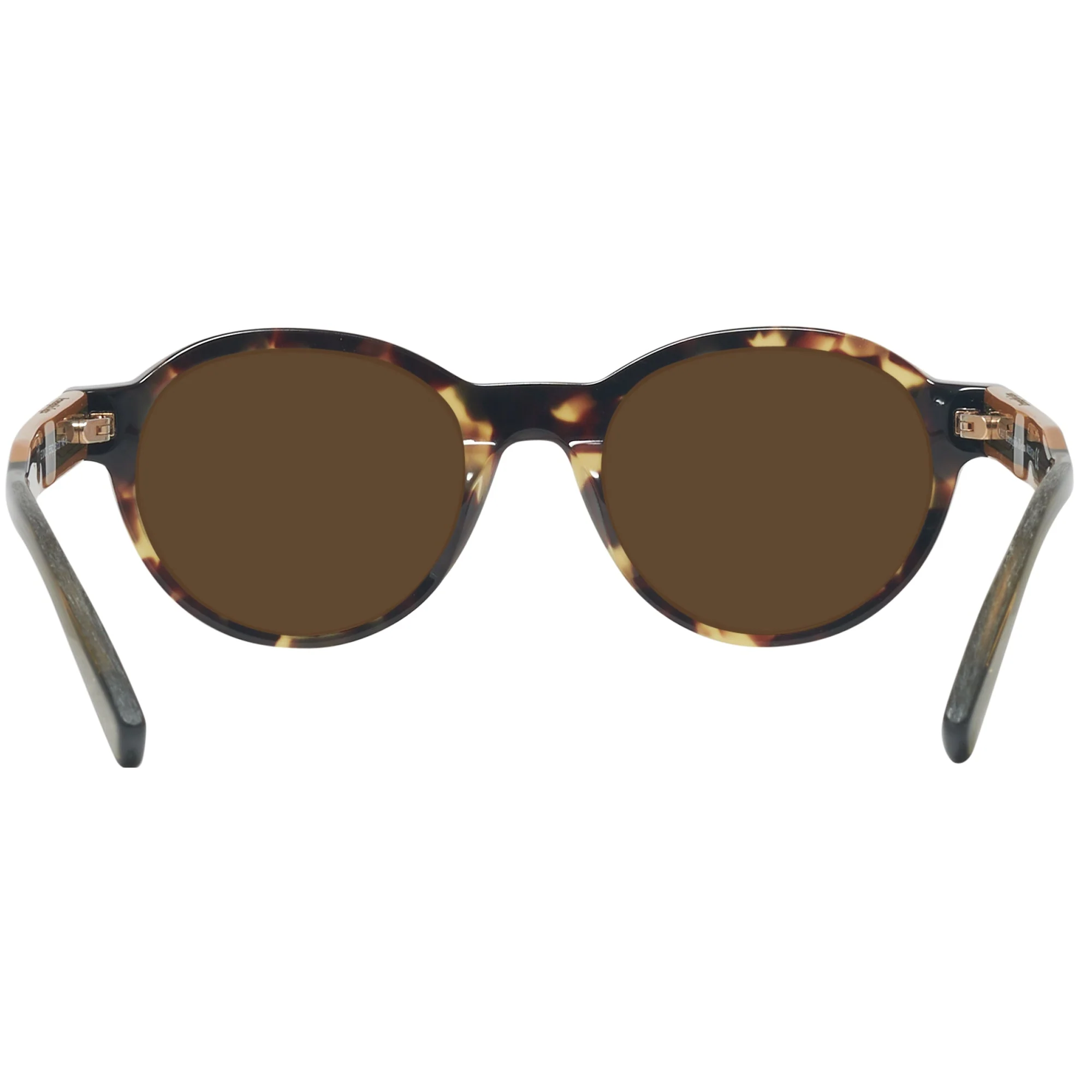 Zegna EZ0100 Progressive No Line Reading Sunglasses - Image 4