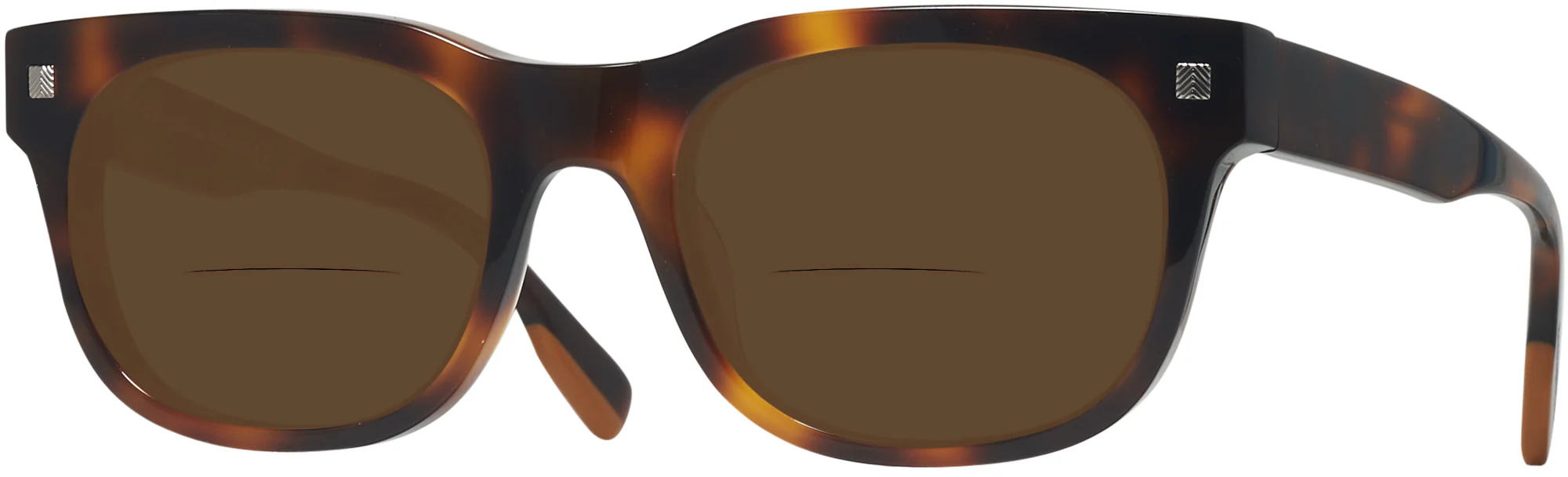 Zegna EZ0101 Bifocal Reading Sunglasses - Image 15