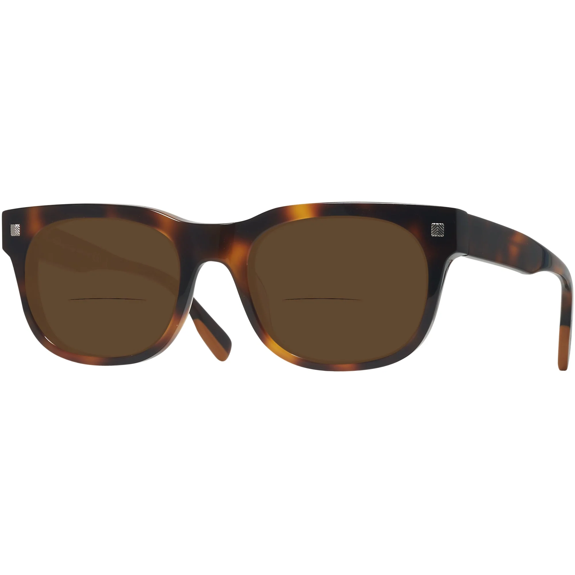 Zegna EZ0101 Bifocal Reading Sunglasses - Image 23
