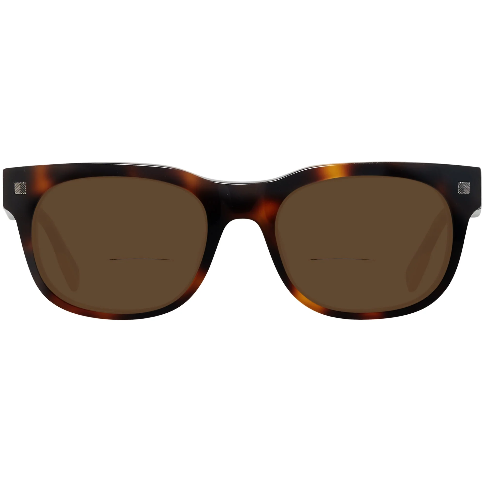 Zegna EZ0101 Bifocal Reading Sunglasses - Image 24
