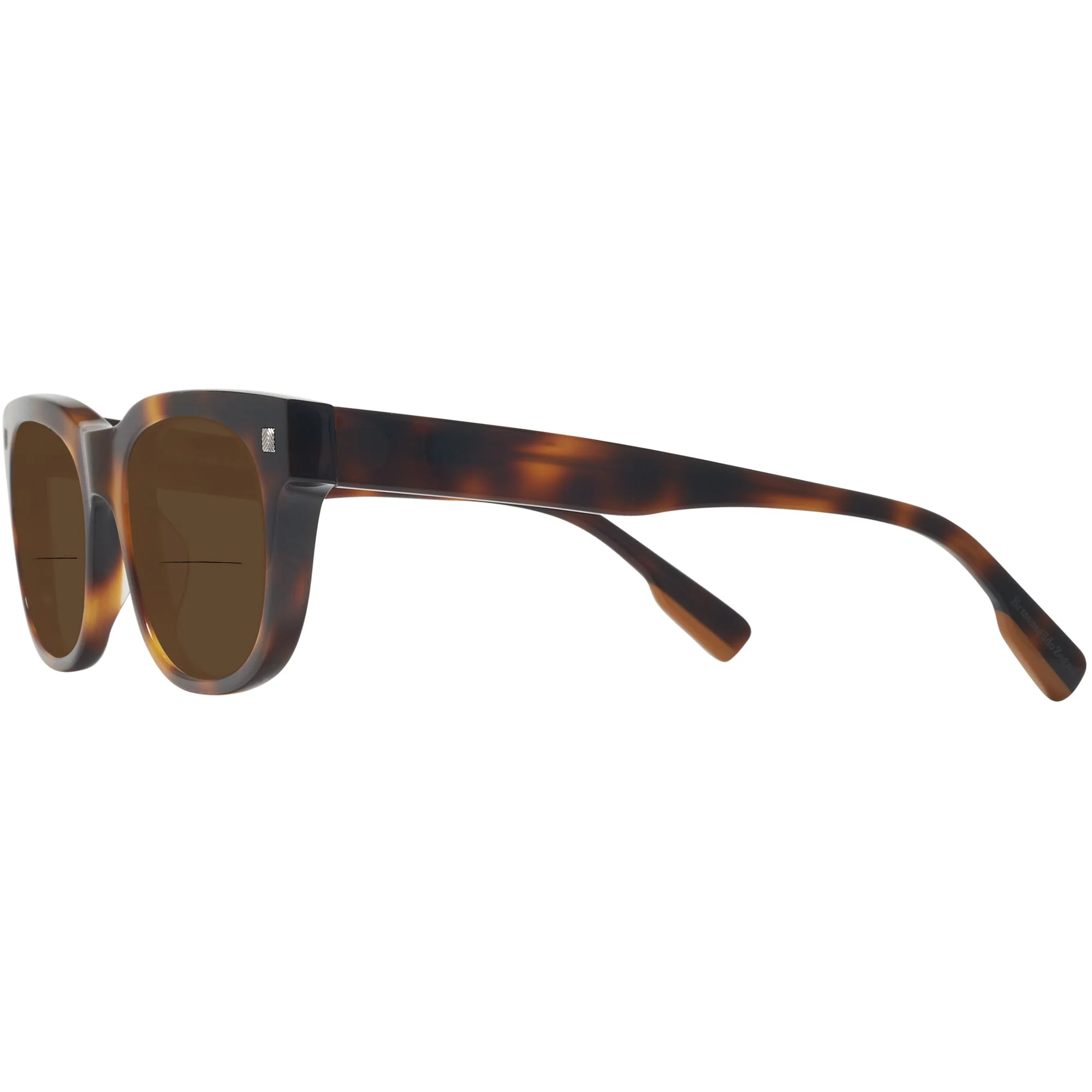 Zegna EZ0101 Bifocal Reading Sunglasses - Image 25