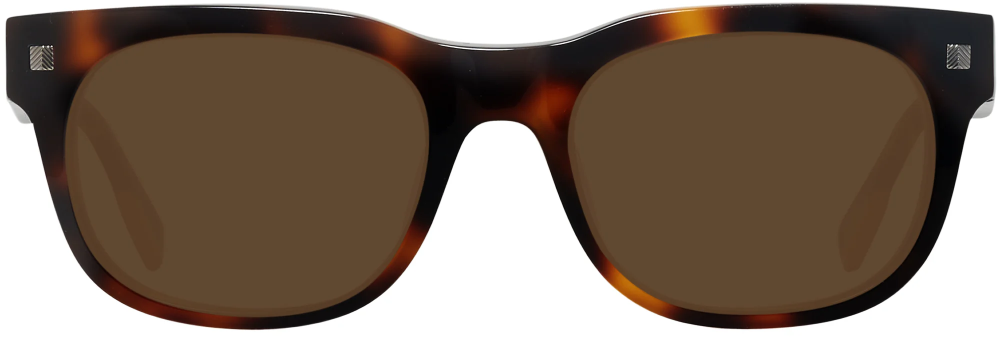 Zegna EZ0101 Progressive Reading Sunglasses - Image 16