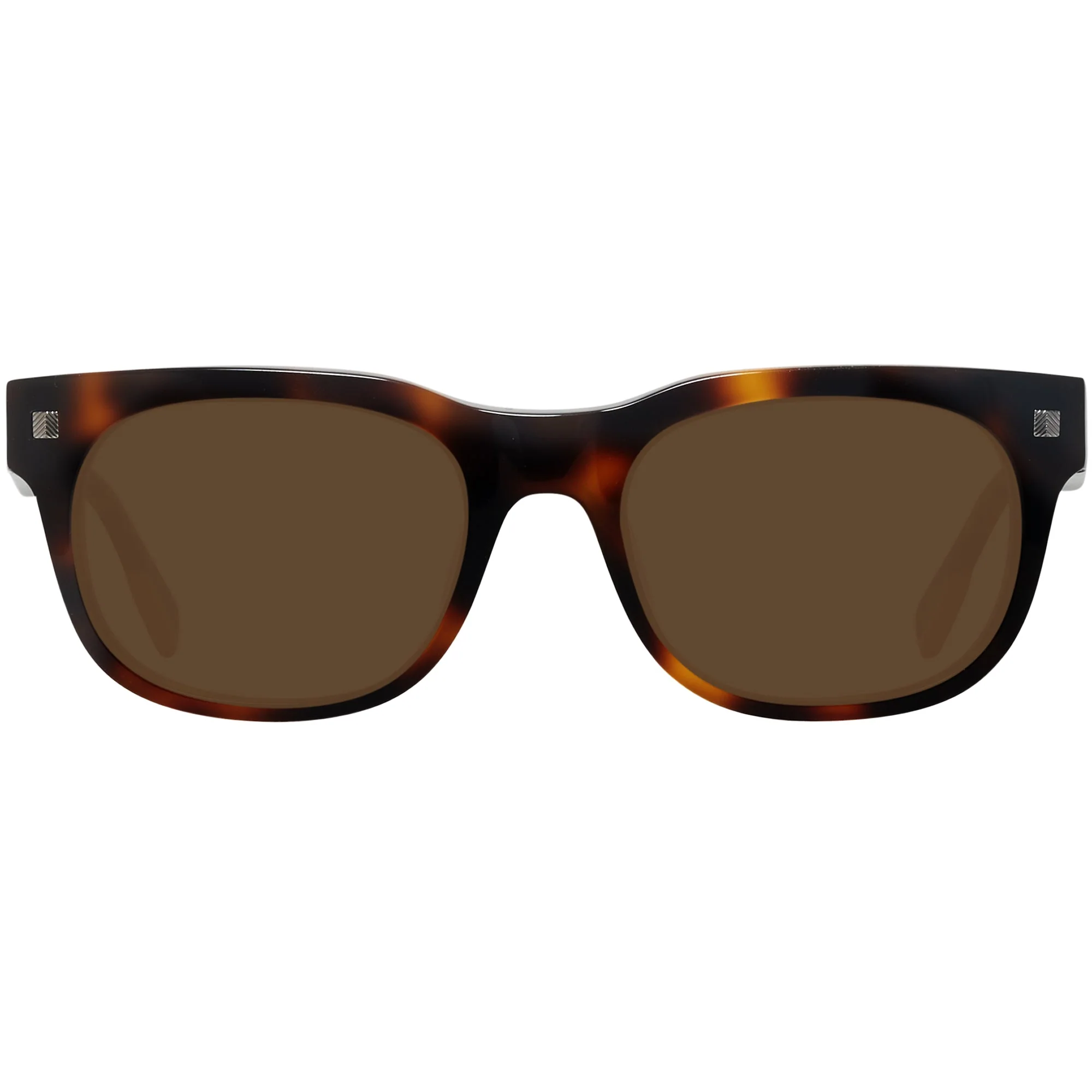 Zegna EZ0101 Progressive Reading Sunglasses - Image 6