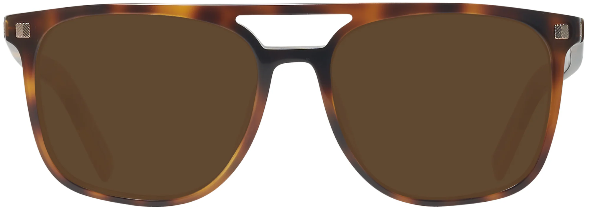 Zegna EZ0124-F Progressive Reading Sunglasses - Image 16