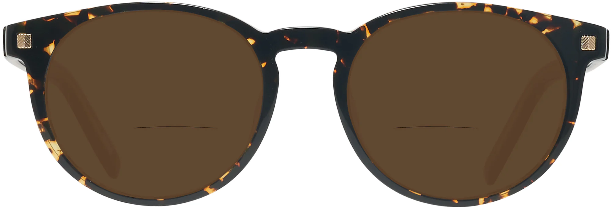 Zegna EZ0172-F Bifocal Reading Sunglasses - Image 2