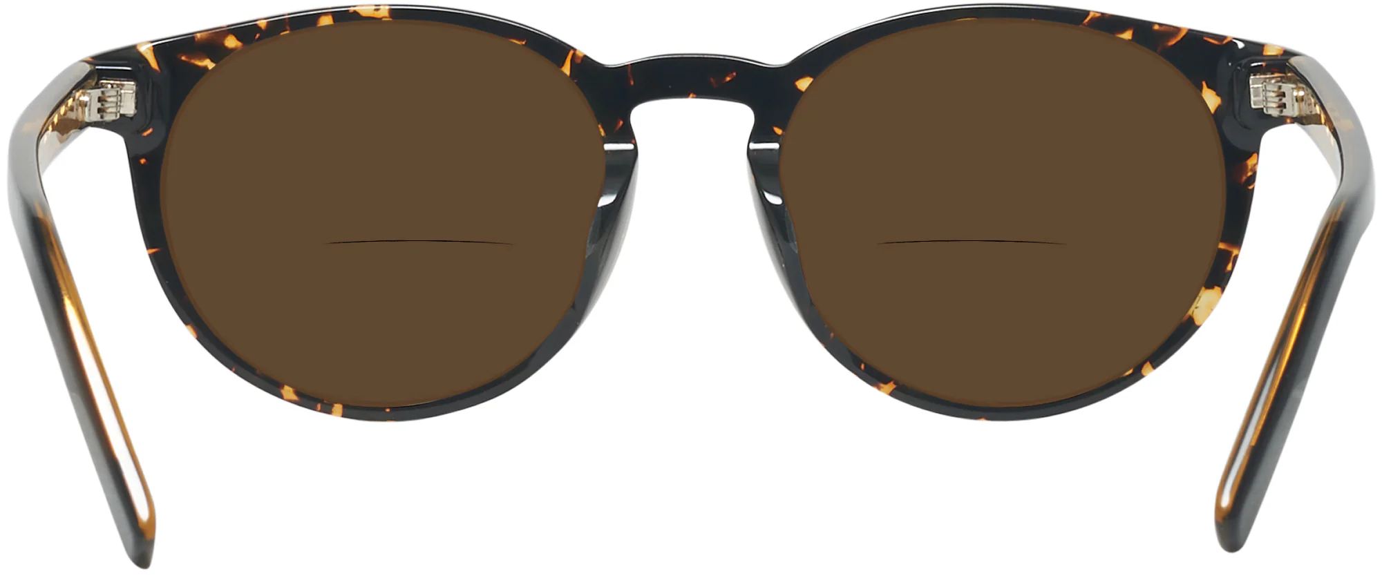 Zegna EZ0172-F Bifocal Reading Sunglasses - Image 4