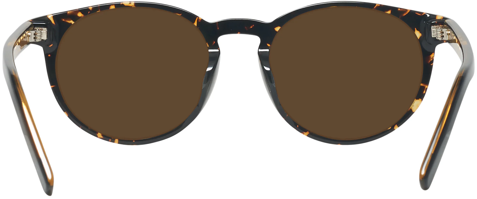 Zegna EZ0172-F Progressive Reading Sunglasses - Image 4