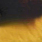 Zegna EZ5076 Single Vision Full Frame - Image 26
